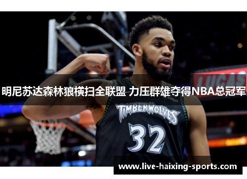 明尼苏达森林狼横扫全联盟 力压群雄夺得NBA总冠军